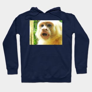 Capuchin Hoodie